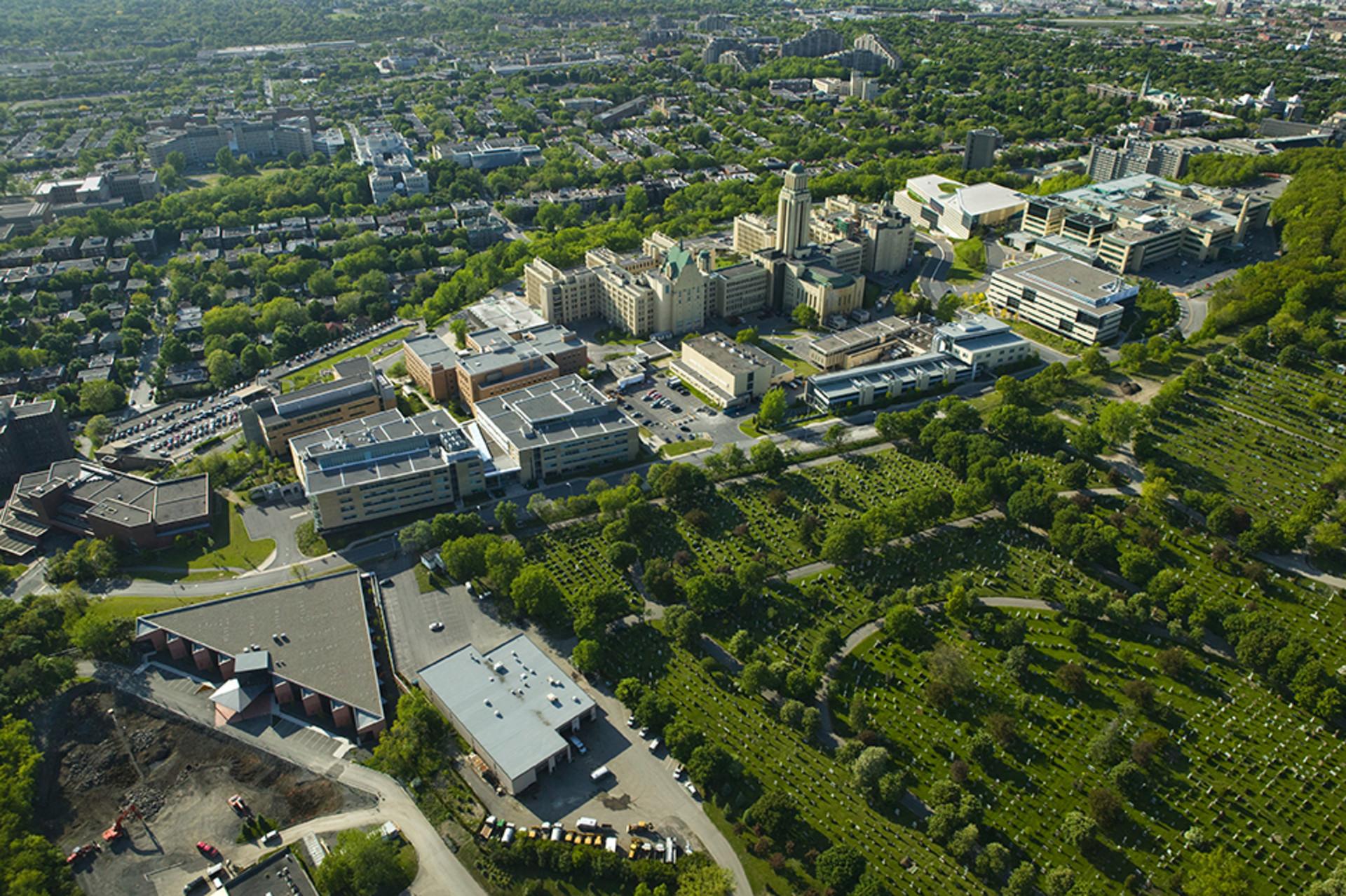 A university setting with real academic depth